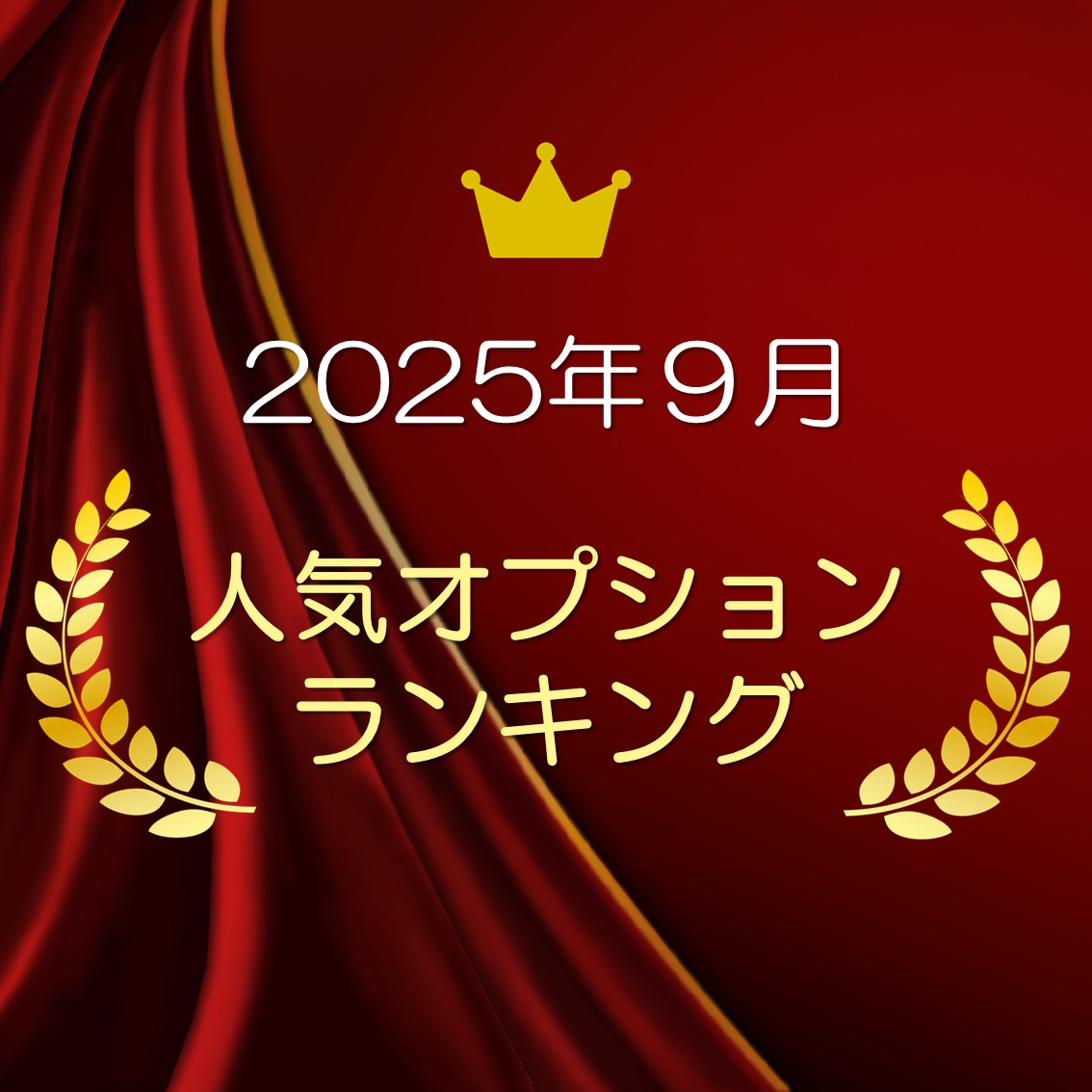 2025年9月最新！　人気オプションランキング